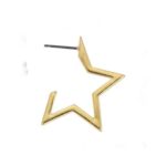 Star earrings