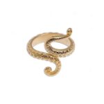 Octapus ring